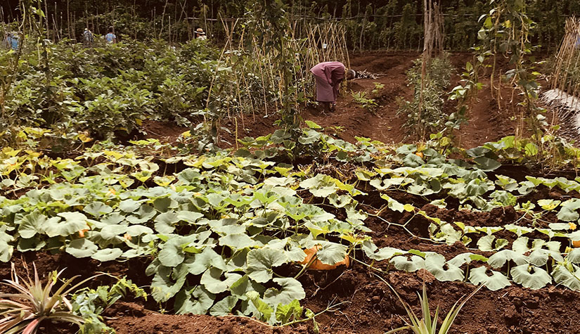 economie territoire agriculture